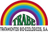 Trabe