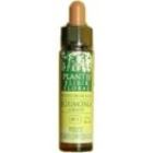 Cherry Plum Plantis Nº 06 10 ml