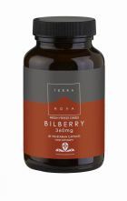 Bilberry 360 mg 50 Vegetable Capsules
