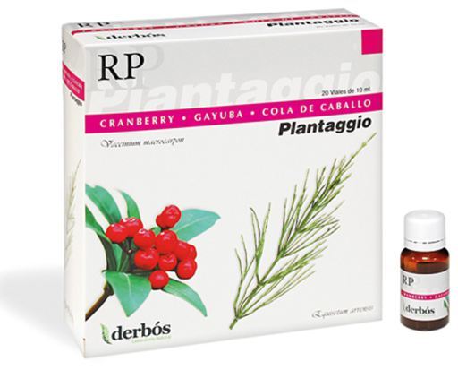 Plantaggio Rp 20A.