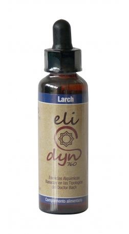 Larch elidyn 20ml celidyn