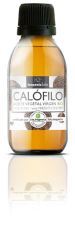 Calophyllum Vegetable Oil