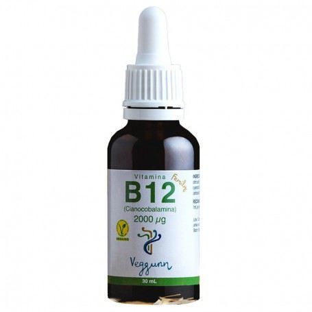 Vitamina B12 Family 30 ml