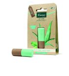 Lip Care Mint Aloe Vera Lip Balm