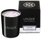 Figuier Amalfi candle 190 gr