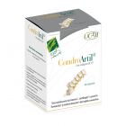 CondroArtil with Collagen Uc-II 90 Capsules