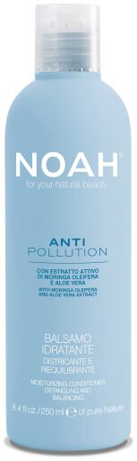 Anti Pollution Moisturizing and Balancing Conditioner 250 ml