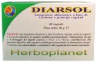 Diarsol 60 Tablets