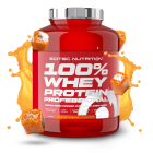 100% Whey Protein Professional 30 gr